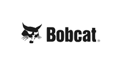 Bobcat